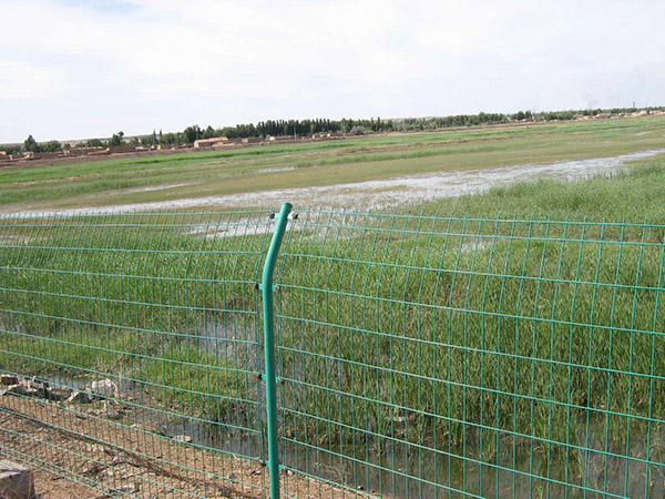 福建公路護欄網圖片4